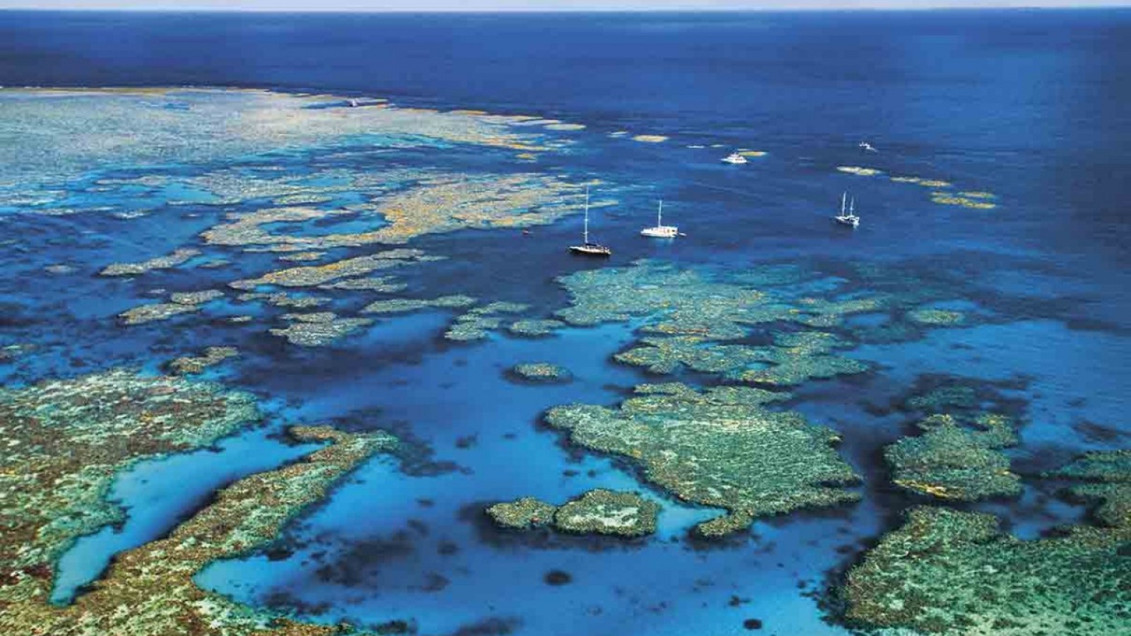 La Gran Barrera de Coral australiana podría dejar de ser la octava maravilla del mundo