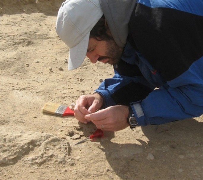 Encuentran el fósil de un vampiro gigante en una cueva al sur de Miramar
