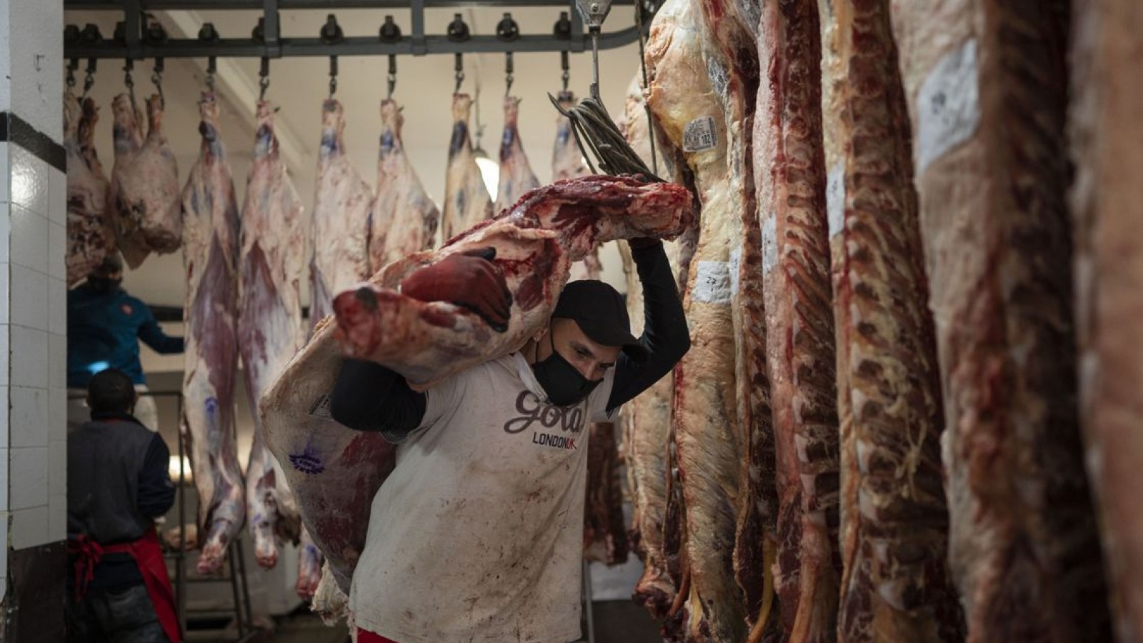 Siguen hasta fin de octubre las restricciones para exportar carne