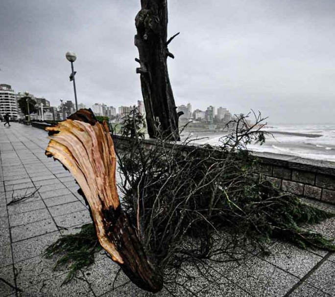 Temporal en Mar del Plata, sin clases y con restricción de circulación