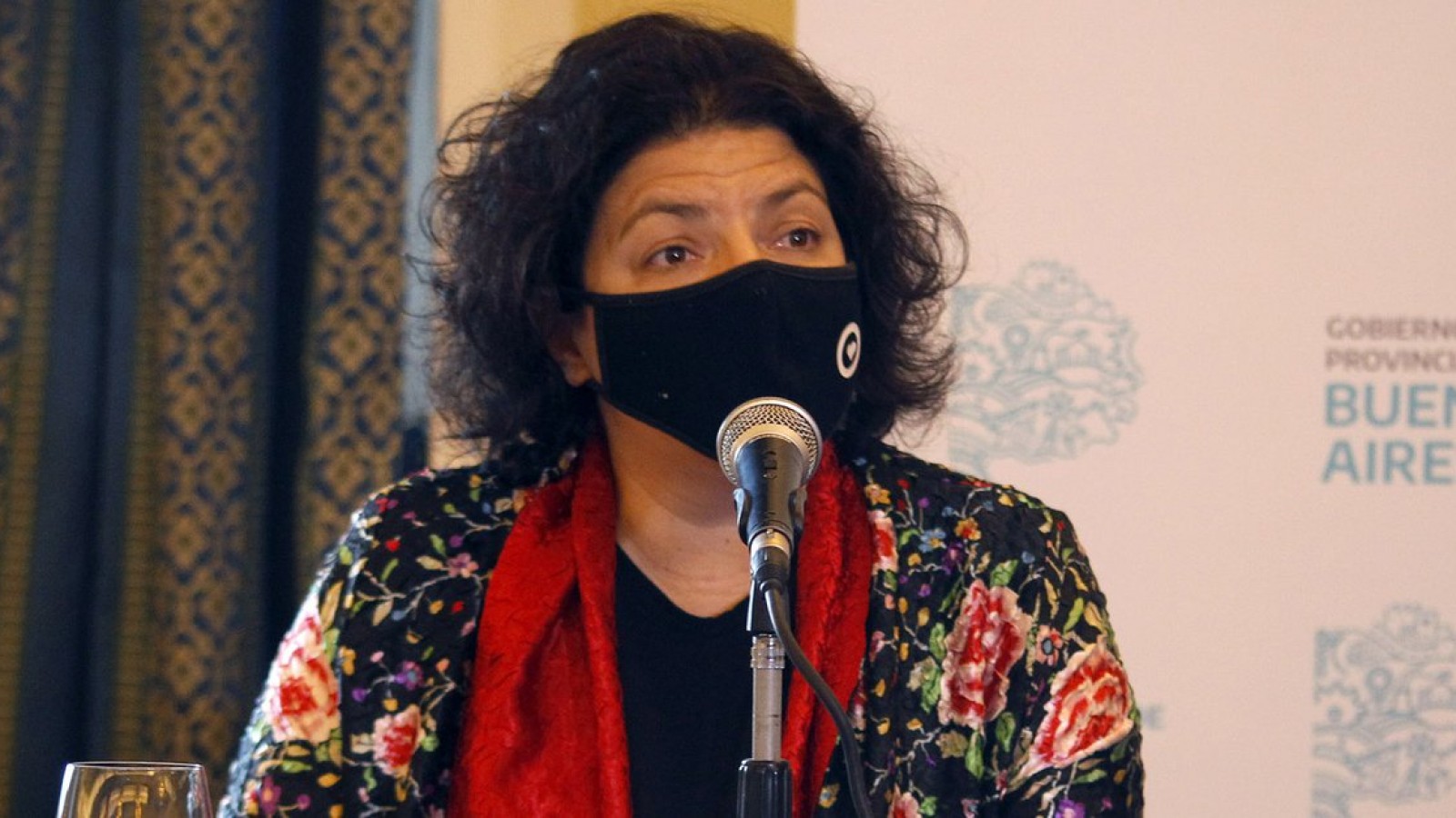 Vizzotti se encuentra "estable" después de ser intervenida por una apendicitis aguda