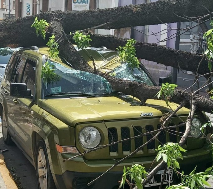 Destrozos en Córdoba por fuertes vientos que afectaron todo el centro del país