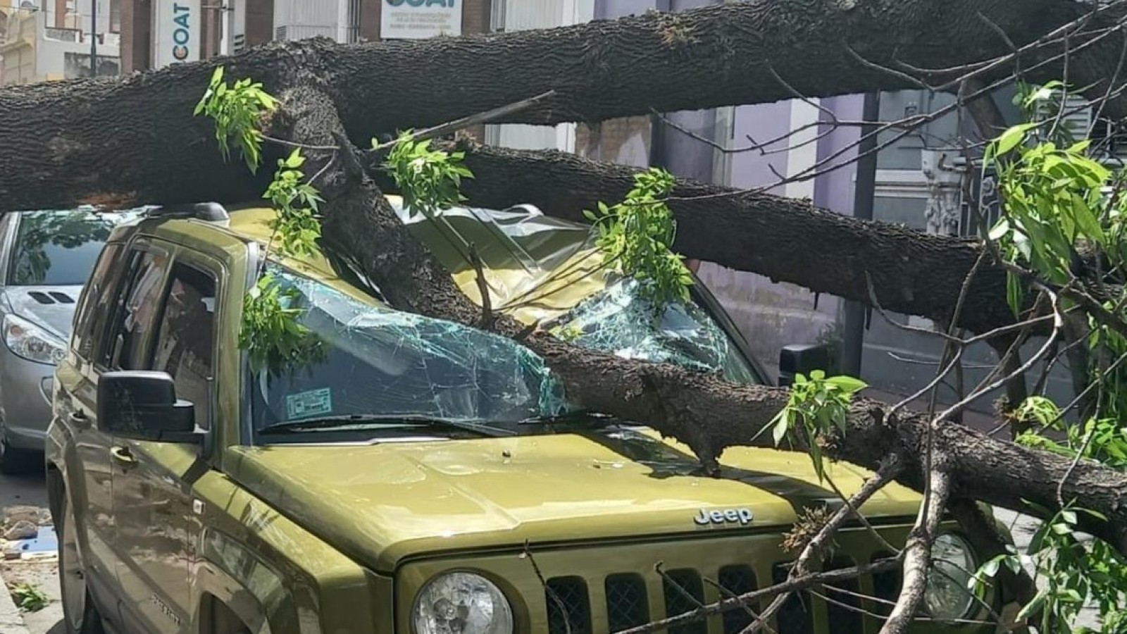 Destrozos en Córdoba por fuertes vientos que afectaron todo el centro del país