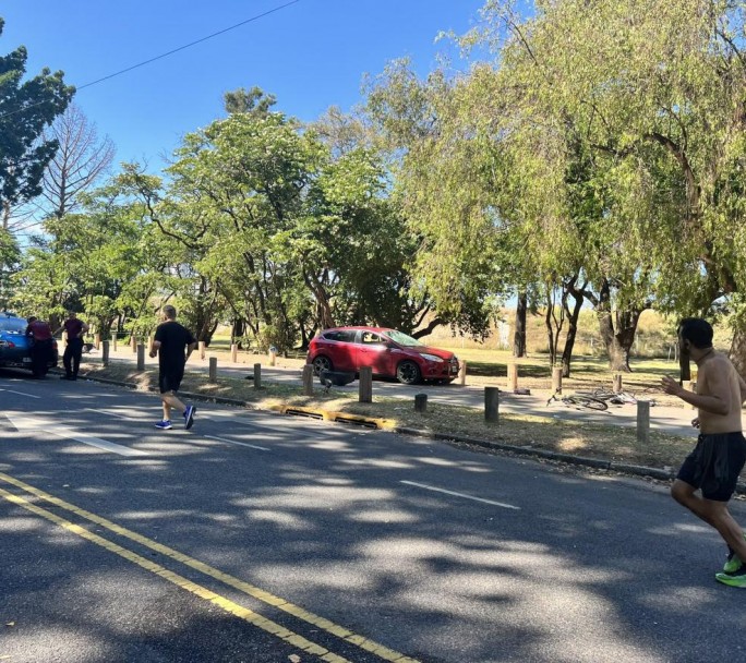 El conductor de Palermo que asesinó a una joven, confesó que se quedo dormido