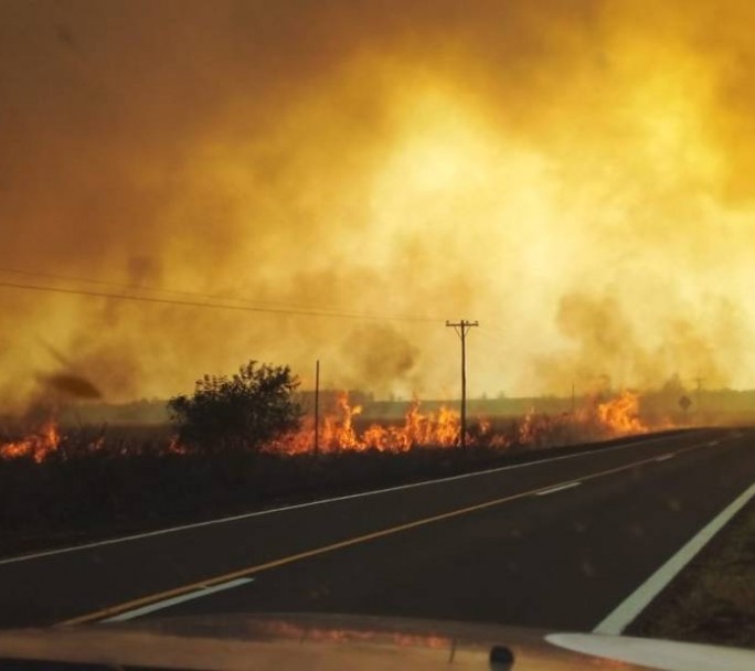 Incendios en Corrientes: más de 300 hectáreas quemadas