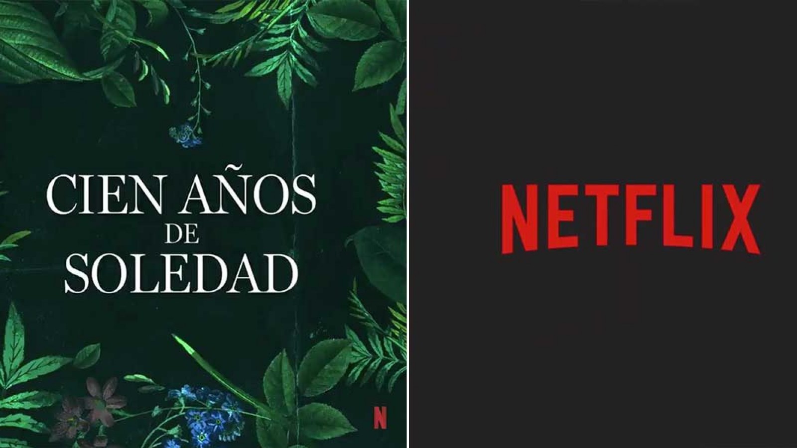 Netflix hará la adaptación de Cien años de soledad