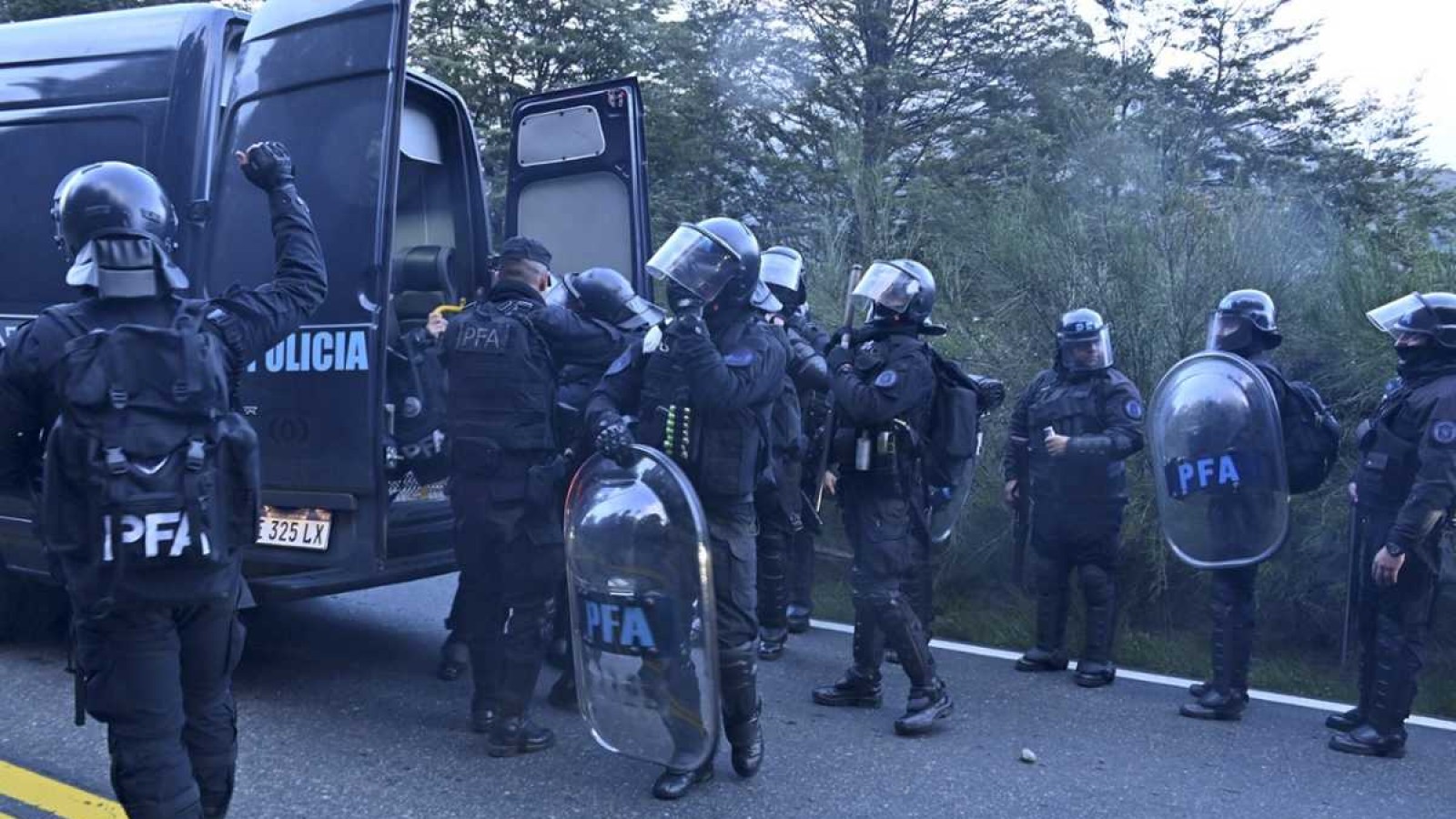 Cinco mujeres y tres hombres Mapuches fueron procesados por usurpación