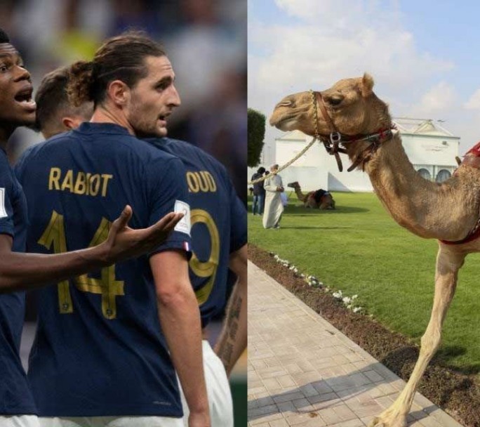 Francia: Dos jugadores con síntomas compatibles con el "virus del camello"