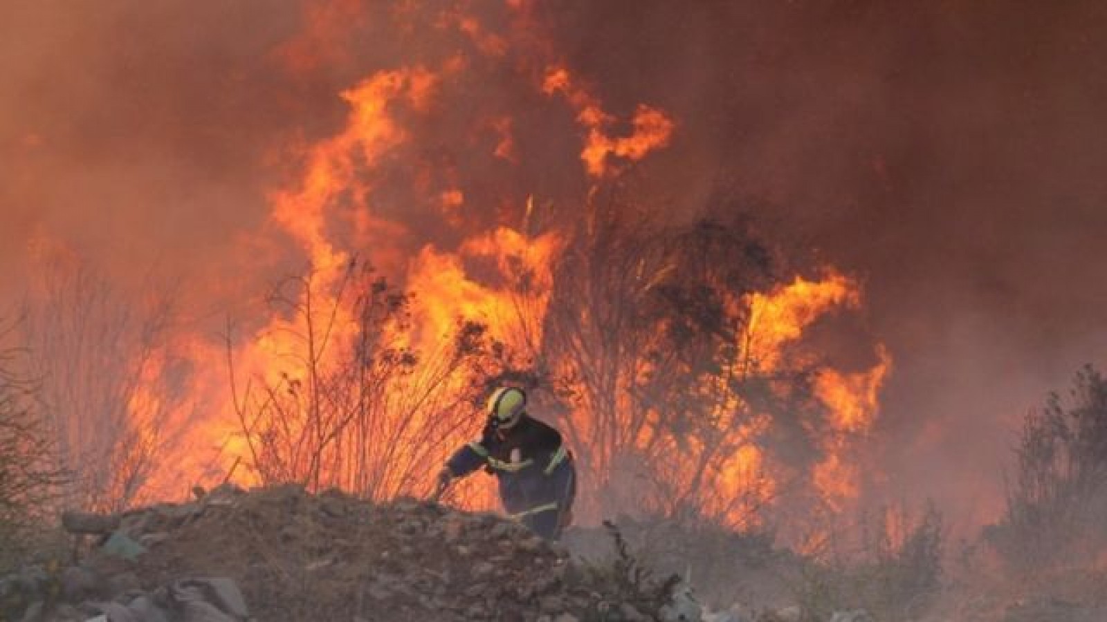 Al menos 750 hectáreas fueron consumidas por un incendio activo en Chile