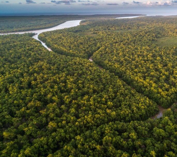 La Cumbre Amazónica de Lula busca imponer la agenda del cambio climático desde el sur