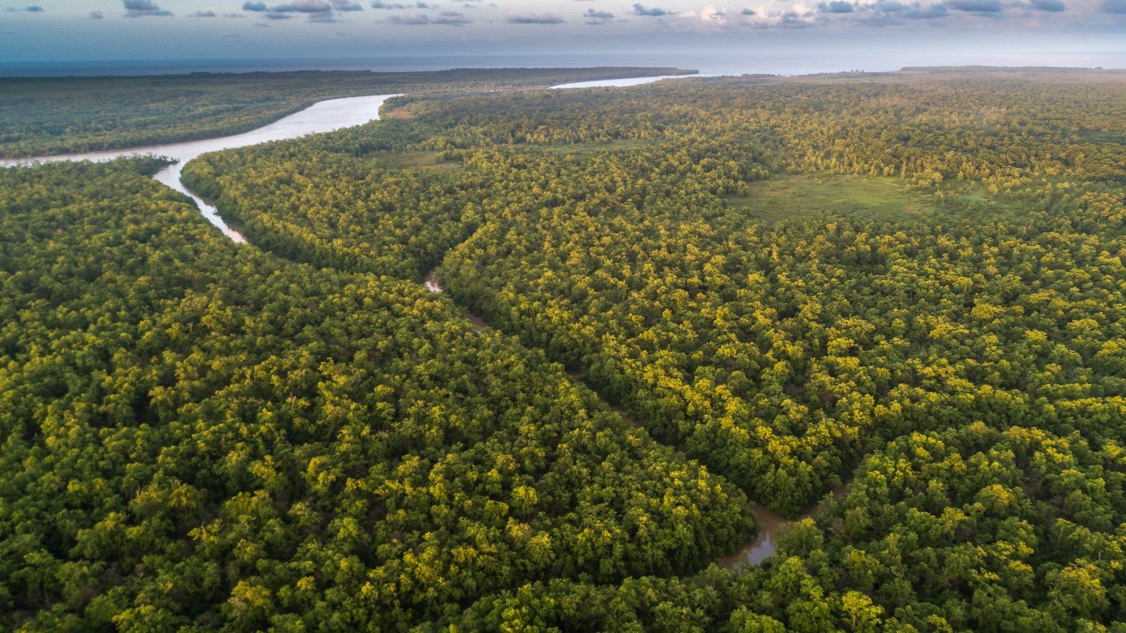 La Cumbre Amazónica de Lula busca imponer la agenda del cambio climático desde el sur