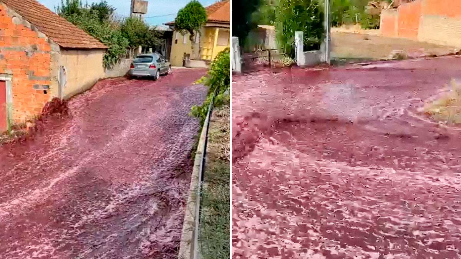 Un impresionante río de vino tinto inundó las calles de Portugal