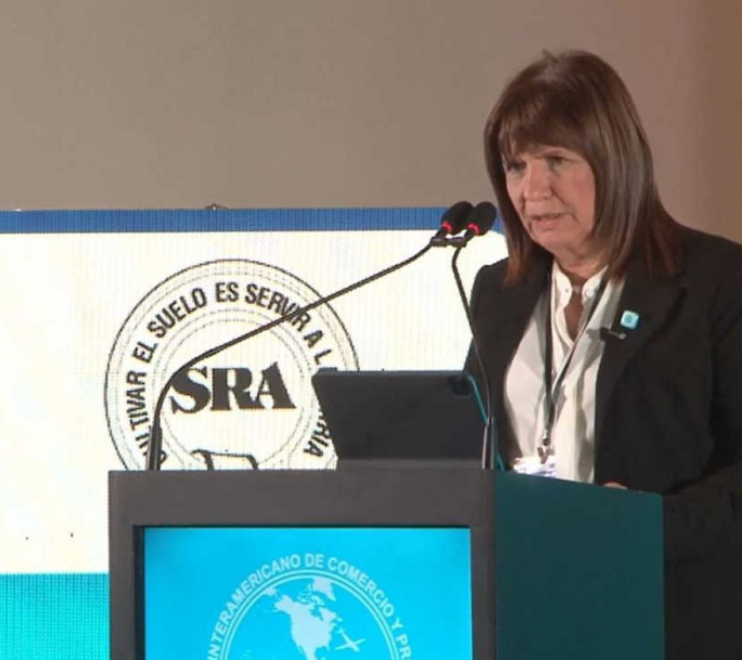 Patricia Bullrich contra Massa: "está hundiendo al país"