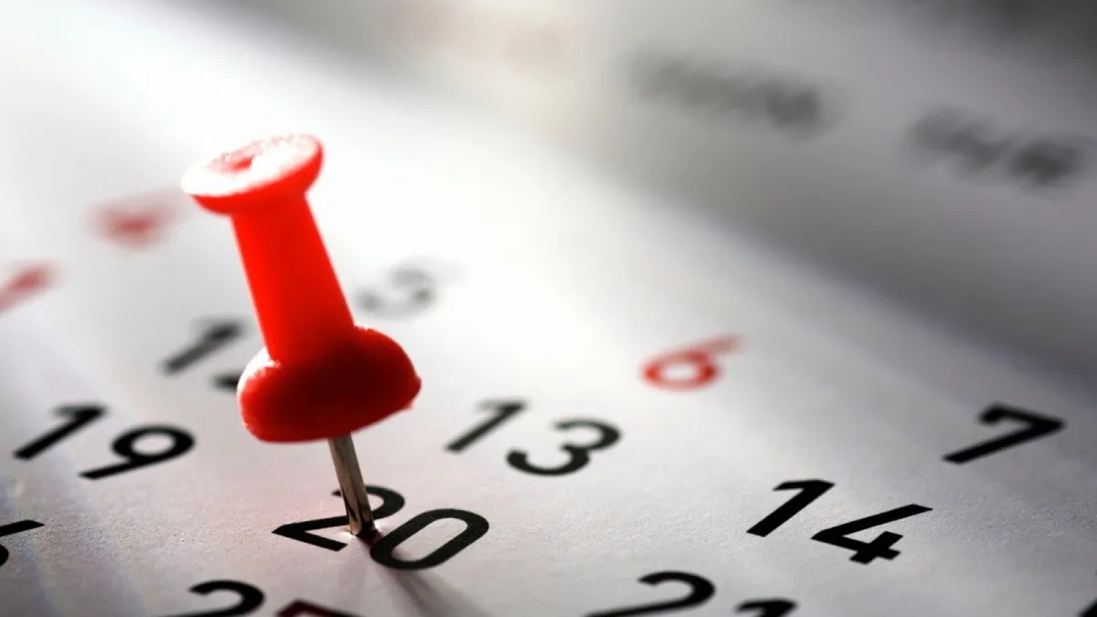 Trasladarán el feriado del 20 de noviembre al lunes 27 por el balotaje