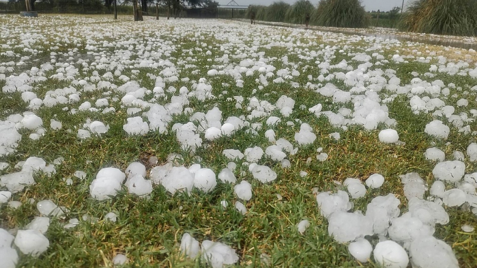 Alerta por tormentas fuertes y granizo: AMBA y 14 provincias afectadas
