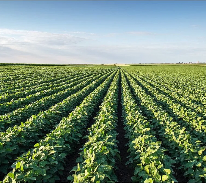 La Comisión de Entidades Agropecuarias rechazo la creación de nuevos impuestos