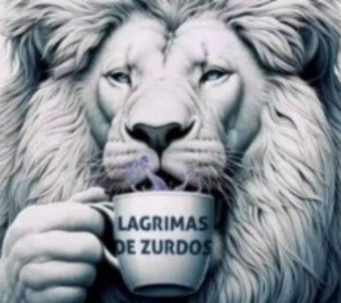 "Lágrimas de zurdo": Milei responde con insultos a la marcha universitaria