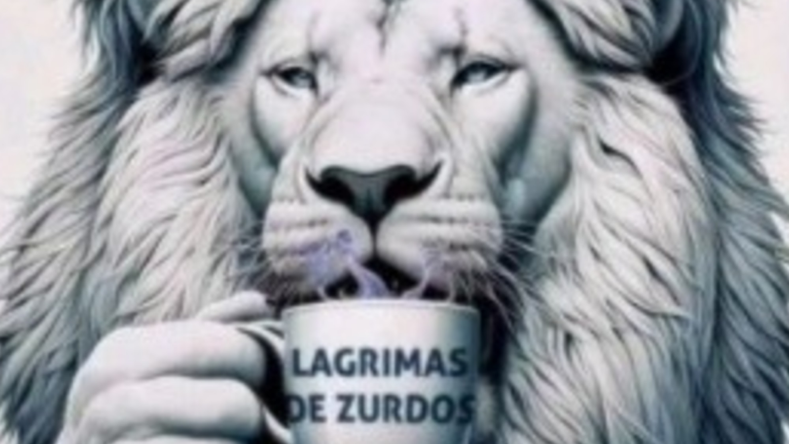 "Lágrimas de zurdo": Milei responde con insultos a la marcha universitaria