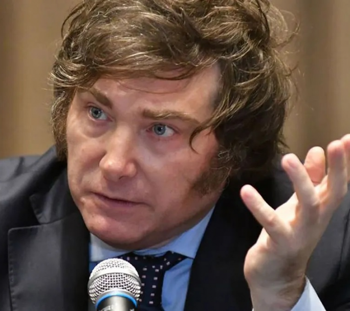 Javier Milei viaja a Brasil a encontrarse con Bolsonaro