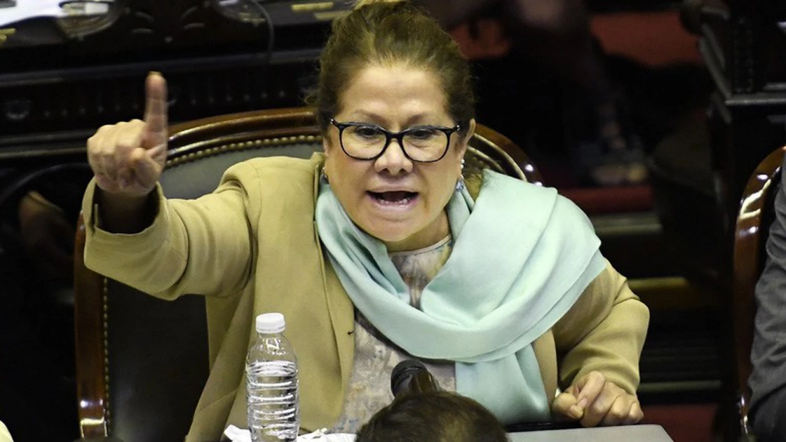 Graciela Camaño sorprendida: "no entiendo cómo Alberto Fernández llegó a ser presidente""