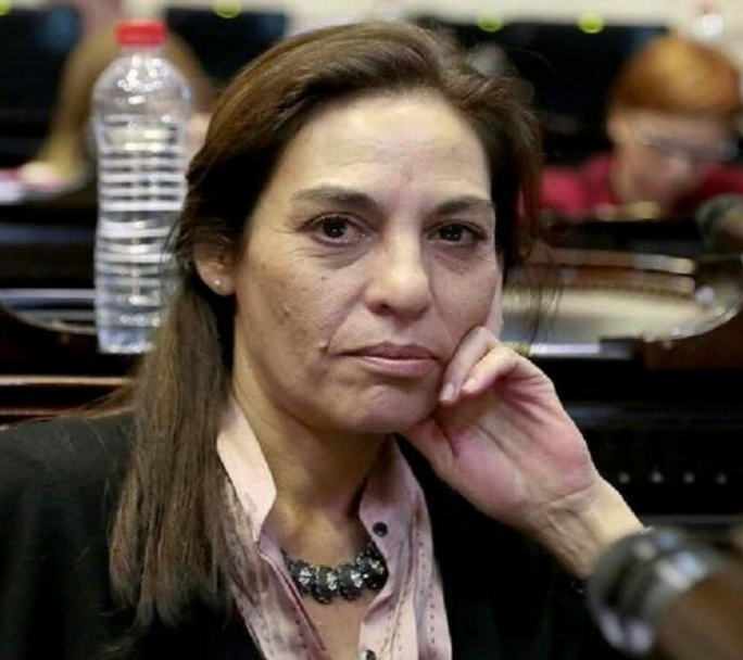 La Diputada por la UCR , Carla Carrizo criticó a Cuneo Libarona por la exposición en el Congreso