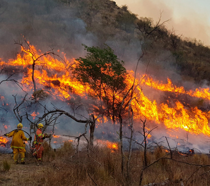 Fuego bajo control en La Calera: 60 brigadistas mantienen la guardia