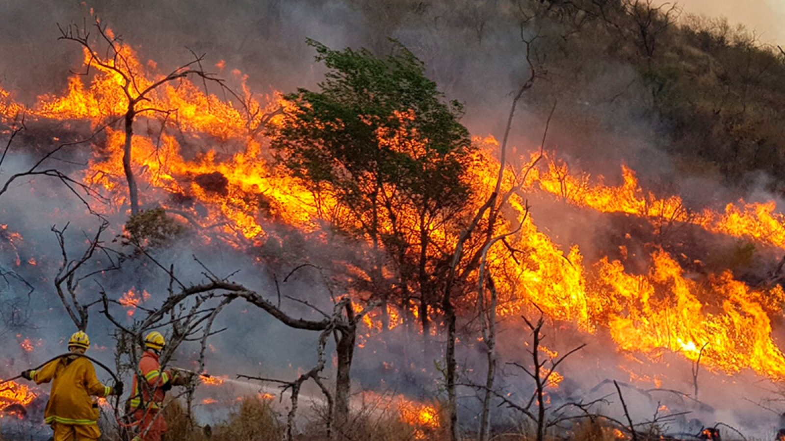 Fuego bajo control en La Calera: 60 brigadistas mantienen la guardia