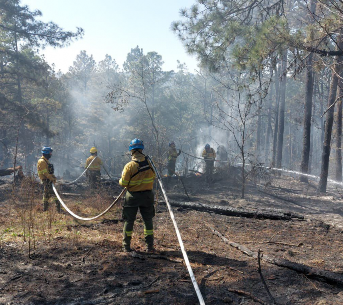 Córdoba: Incendios devastadores y cuatro sismos en menos de 48 horas