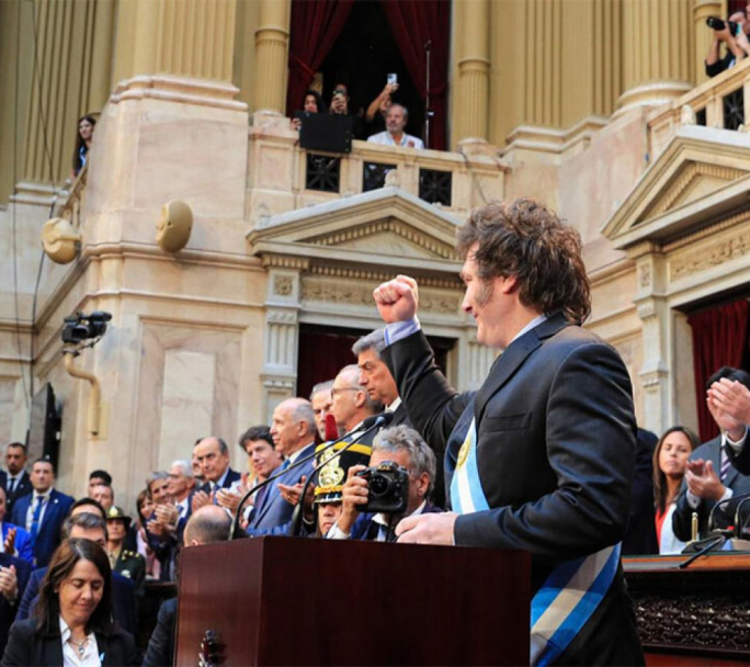 Milei: logros y fracasos a un año de gestión