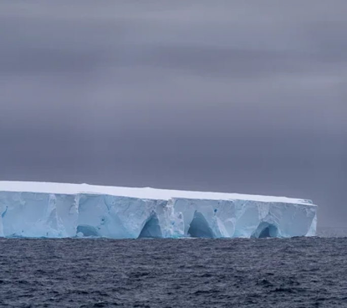 El iceberg más grande del mundo se desprendió y navega por el océano: qué impacto tendrá