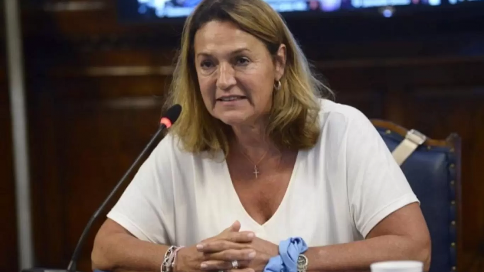 La Coalición Cívica votará la suspensión de las PASO, pero no la eliminación