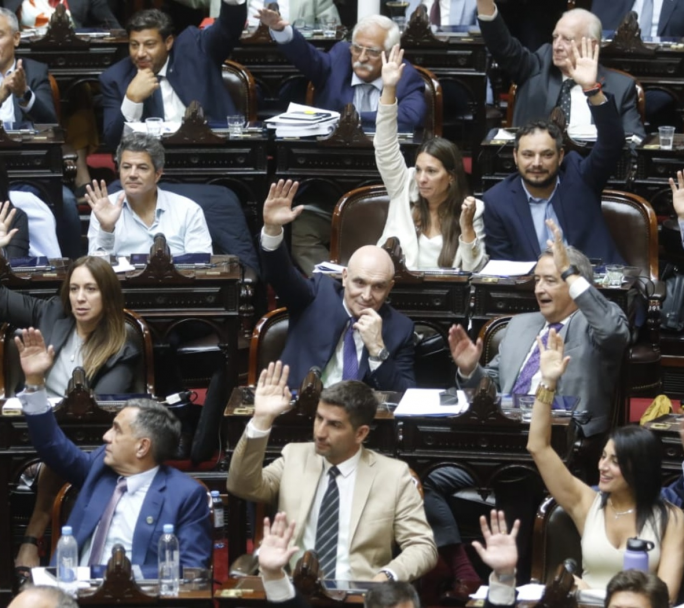 Importante resultado del gobierno en Diputados para suspender las PASO