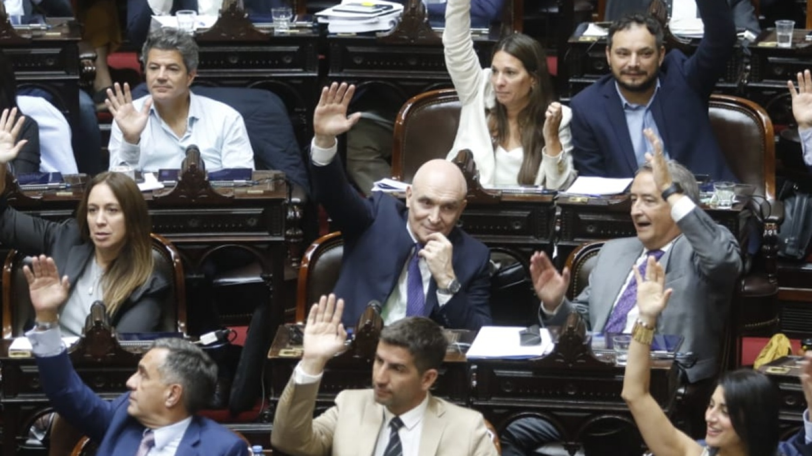 Importante resultado del gobierno en Diputados para suspender las PASO
