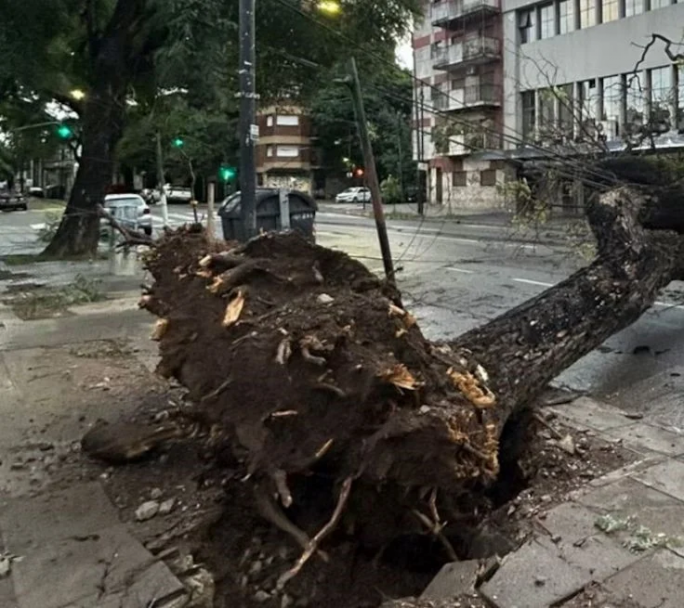Voladuras de techos y usuarios sin luz por el fuerte temporal en AMBA