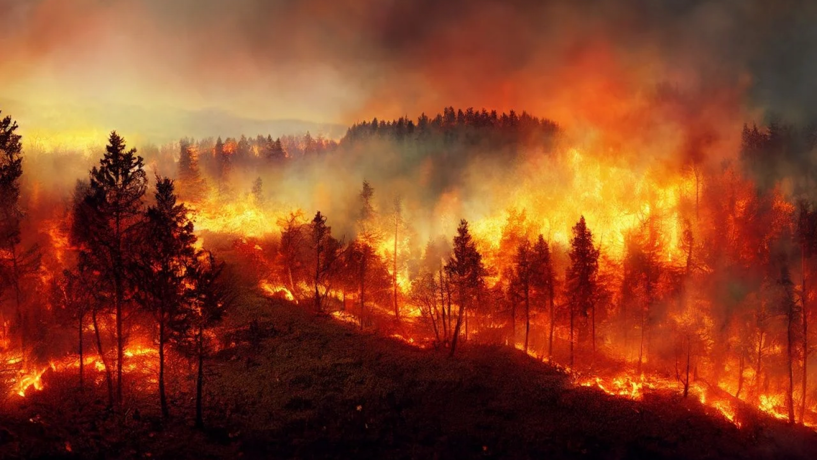 Siguen activos los incendios en los parques Lanin y Nahuel Huapi
