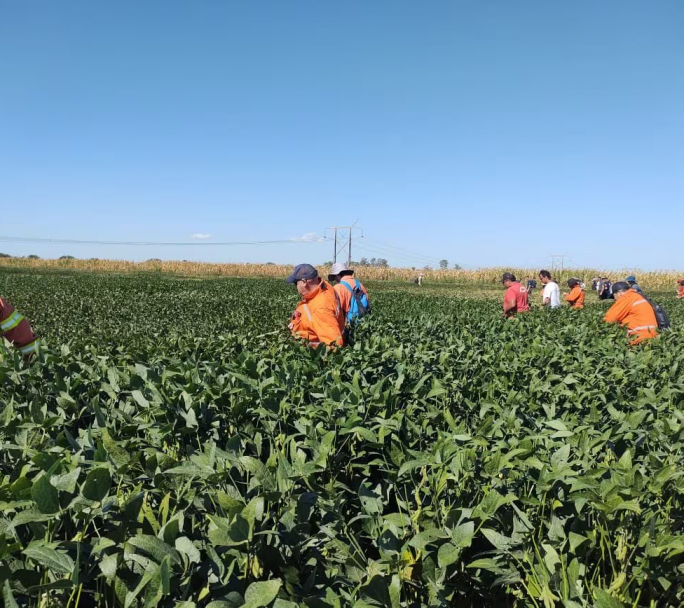 No hay novedades sobre la desaparición de Liam Flores en Ballesteros Sud