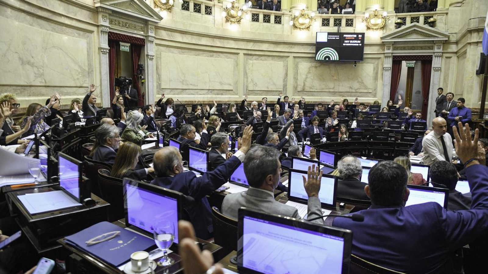 Fracasó en el Senado el proyecto de Ficha Limpia y Cristina será candidata