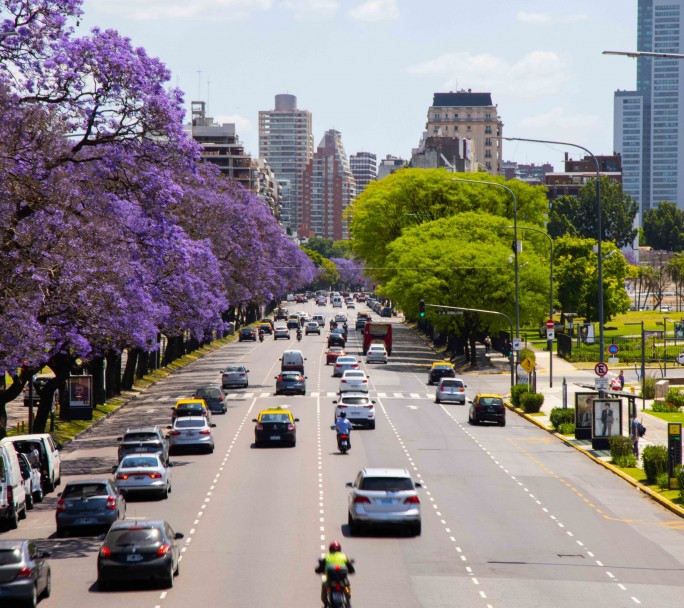 Llena de jacarandás: esta es la avenida porteña más linda para recorrer en primavera