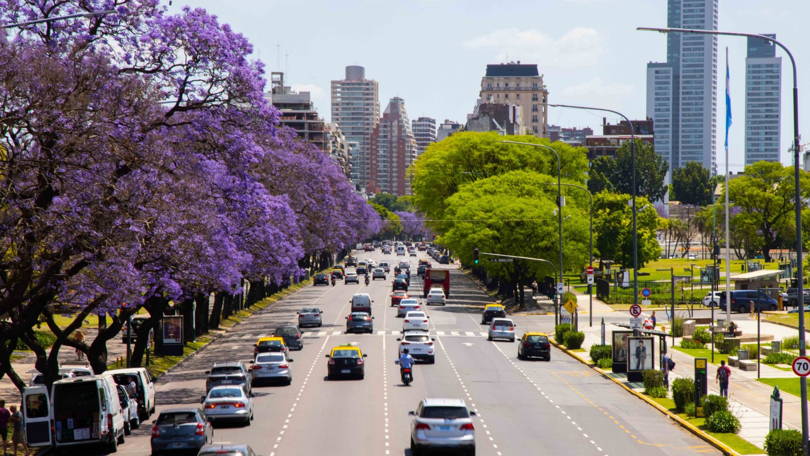 Llena de jacarandás: esta es la avenida porteña más linda para recorrer en primavera