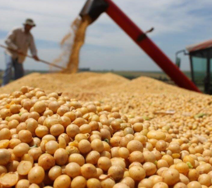Es oficial la baja a las retenciones a las exportaciones del agro y la carne