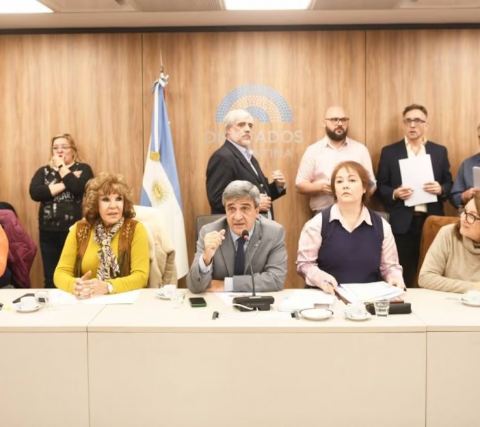 Diputados: oficialismo y oposición piden informes sobre las muertes por fentanilo