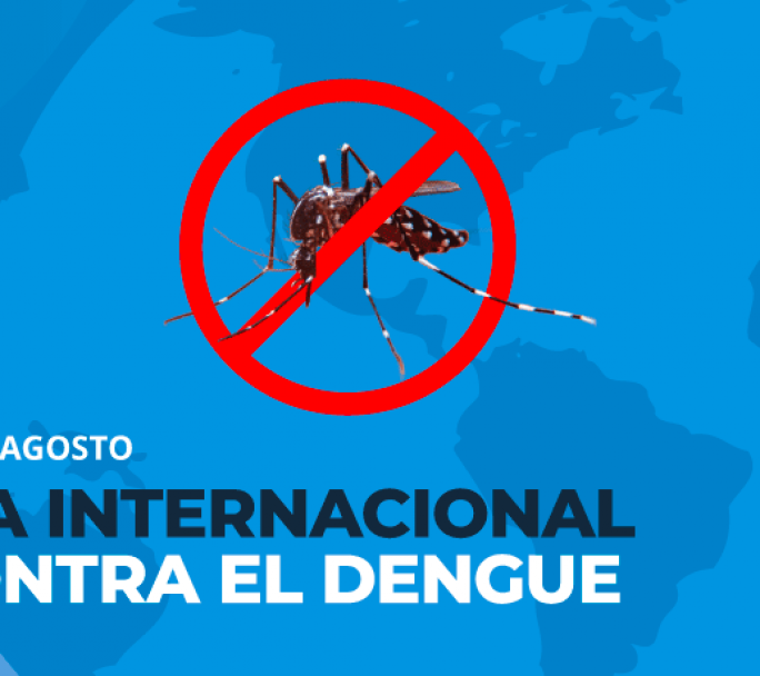 En el día internacional del Dengue, la salud hace hincapié en el mosquito