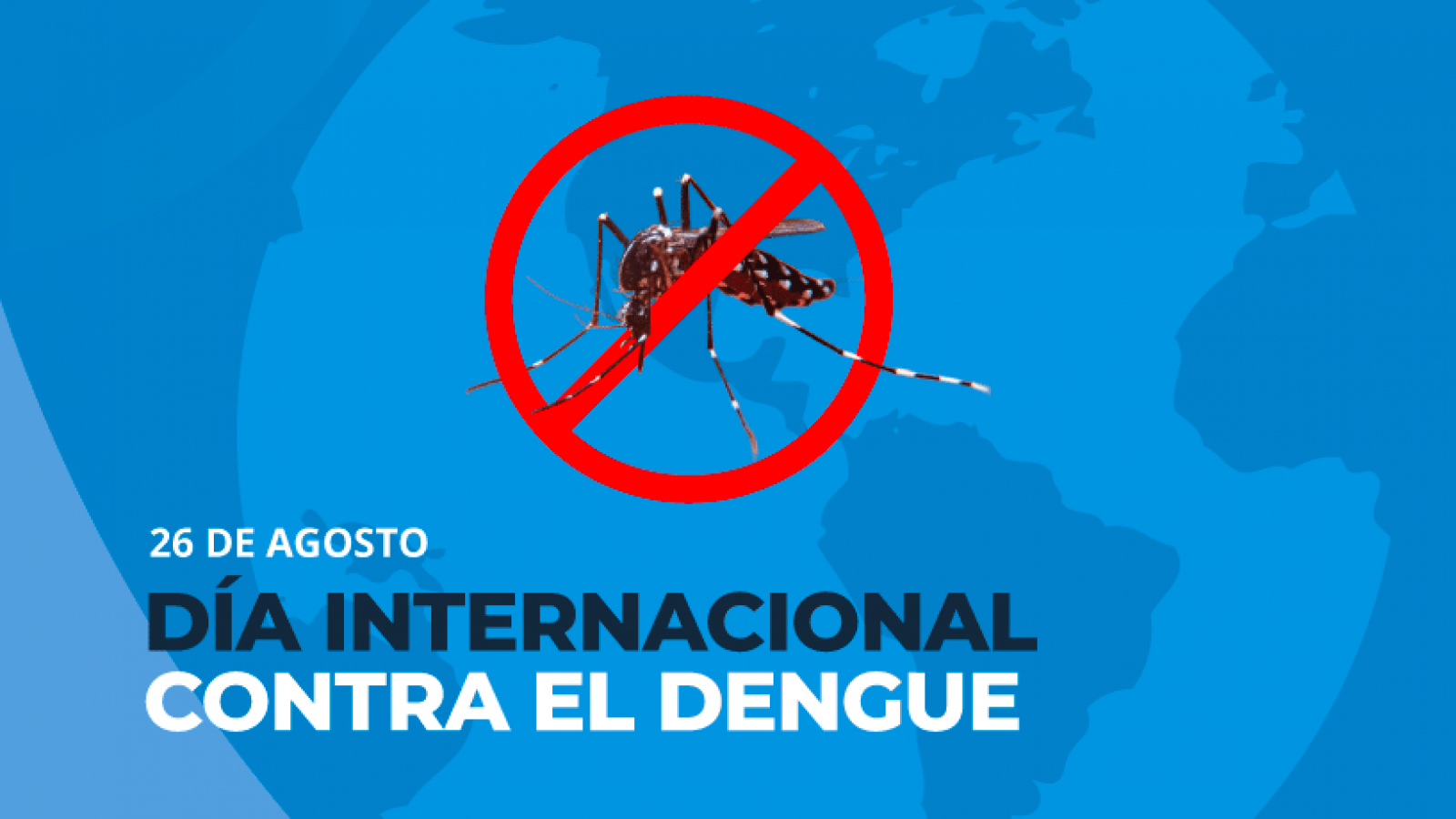 En el día internacional del Dengue, la salud hace hincapié en el mosquito